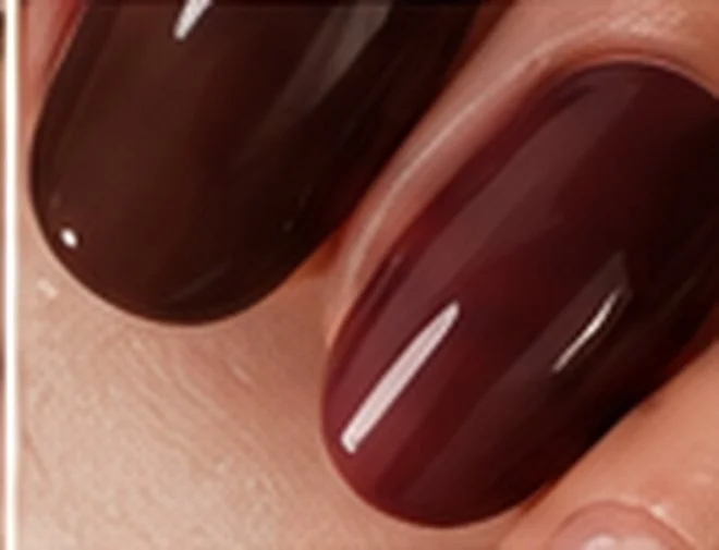 Chocolat & bordeaux